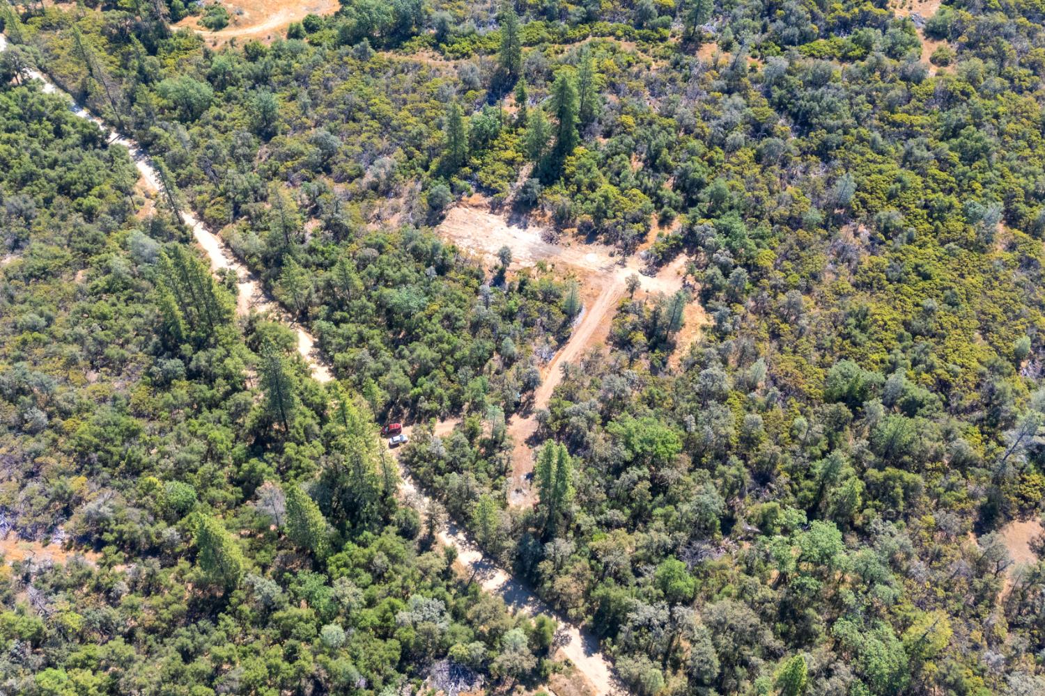 12996 Deadmans Flat Road Grass Valley, CA 95945 - Photo 12 of 12 view of a tree with a tree