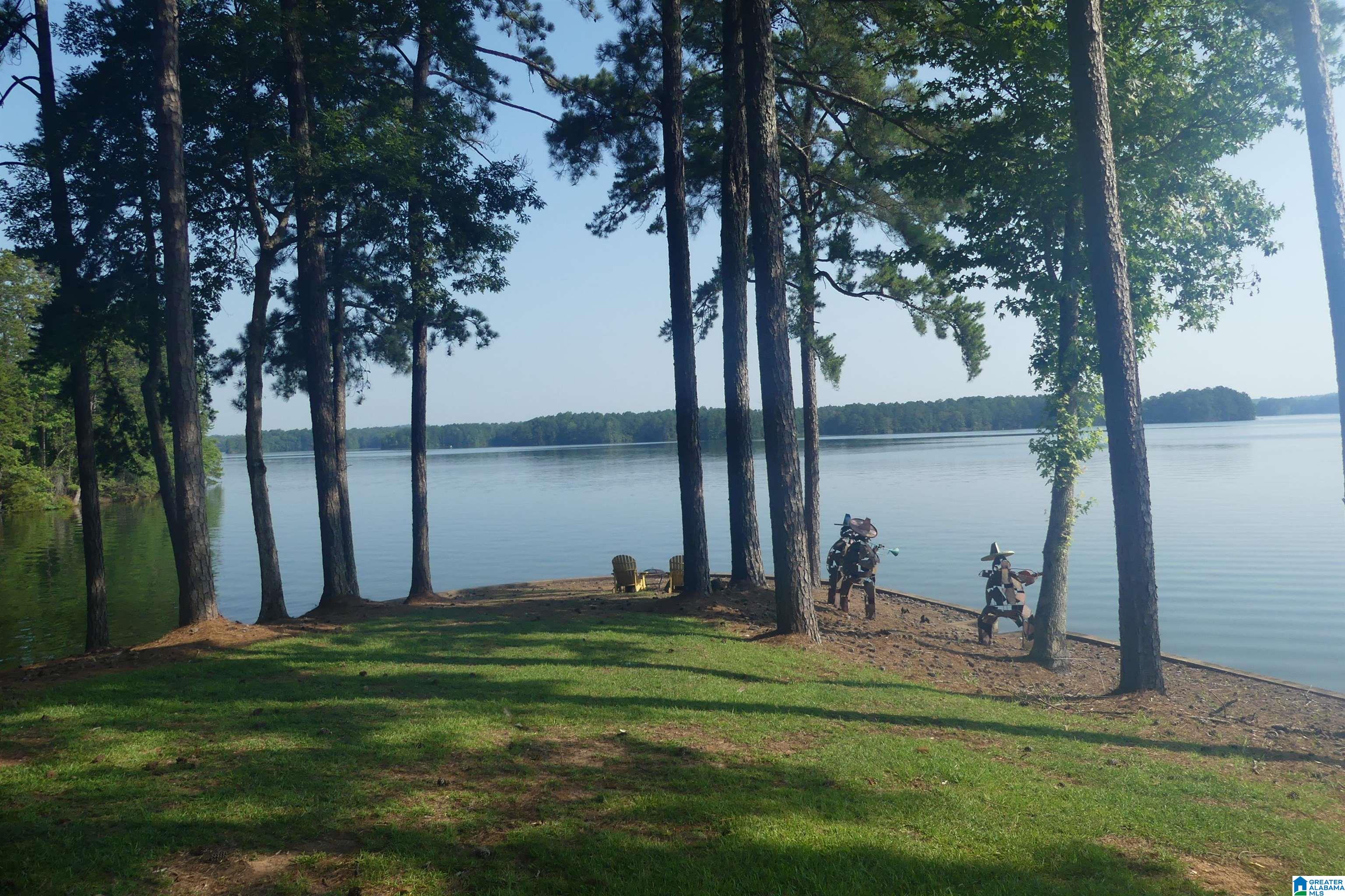 5338 County Road 804 Wedowee, AL 36278 - Photo 3 of 12