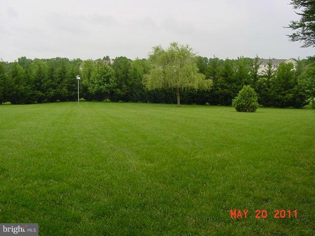 33 Jumpgate Loop Elkton, MD 21921 - Photo 25 of 29 Exterior (Rear)