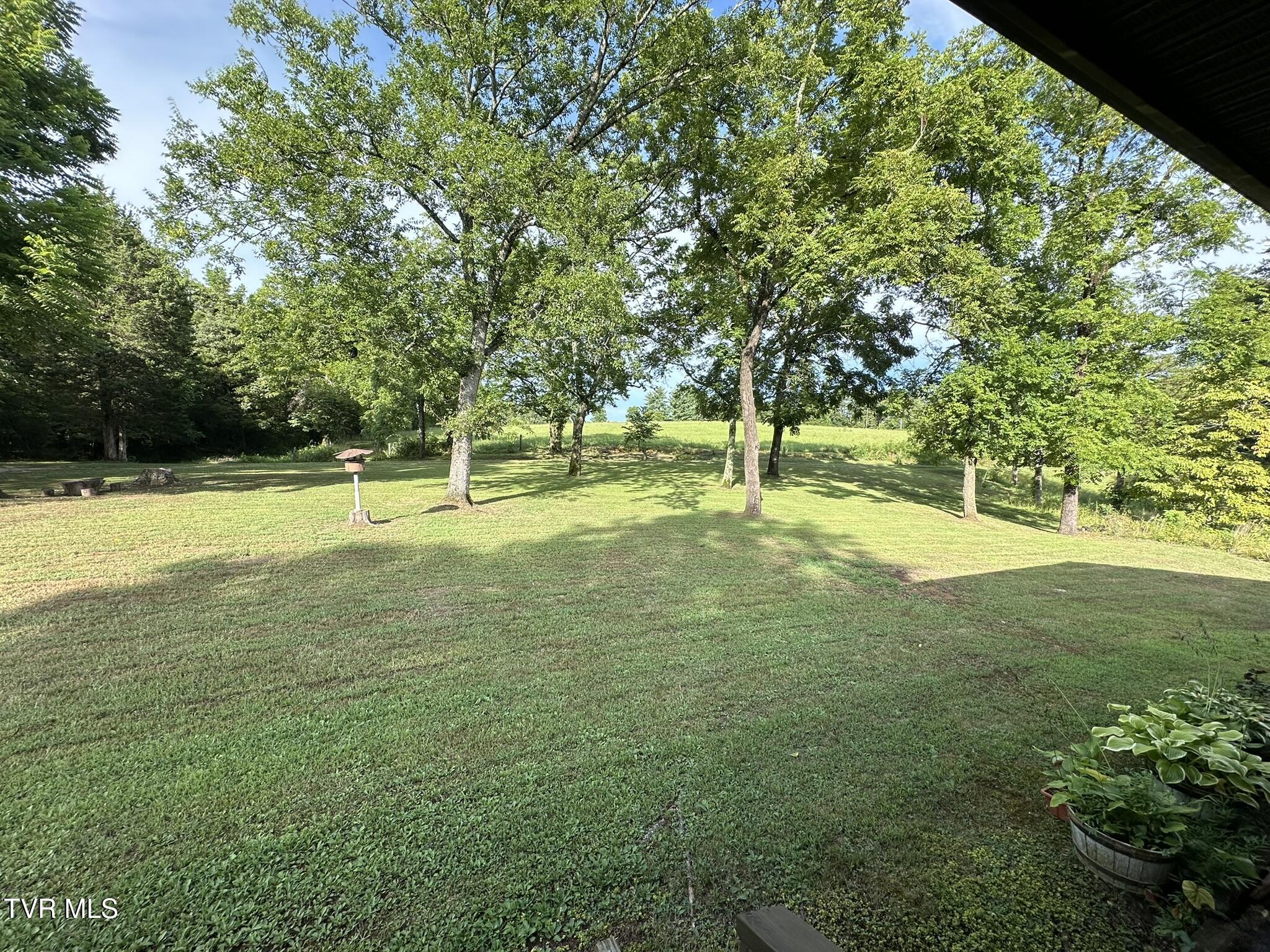 252 Slaton Farm Road Dandridge, TN 37725 - Photo 26 of 35 IMG_5598