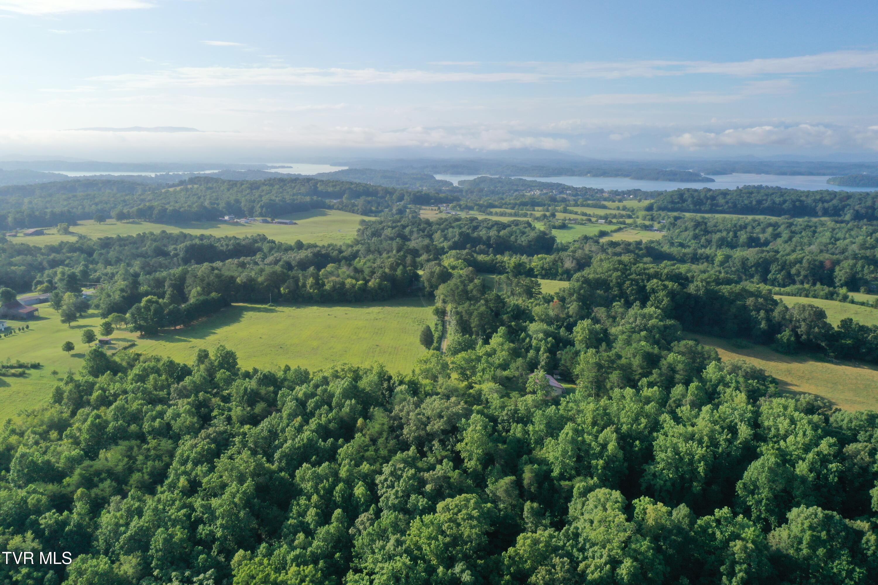 252 Slaton Farm Road Dandridge, TN 37725 - Photo 28 of 35 0E861A1F48B12A761471C0F66B91529B