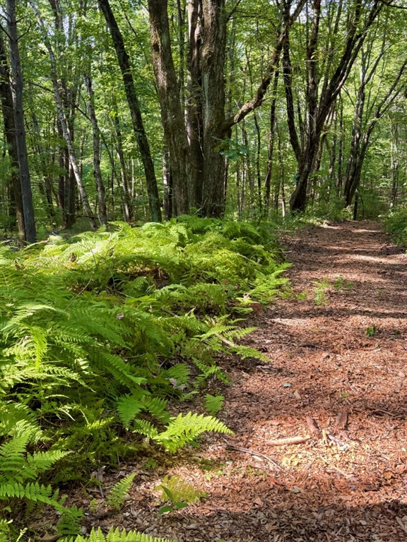 128 Middle Road Southampton, MA 01073 - Photo 10 of 41