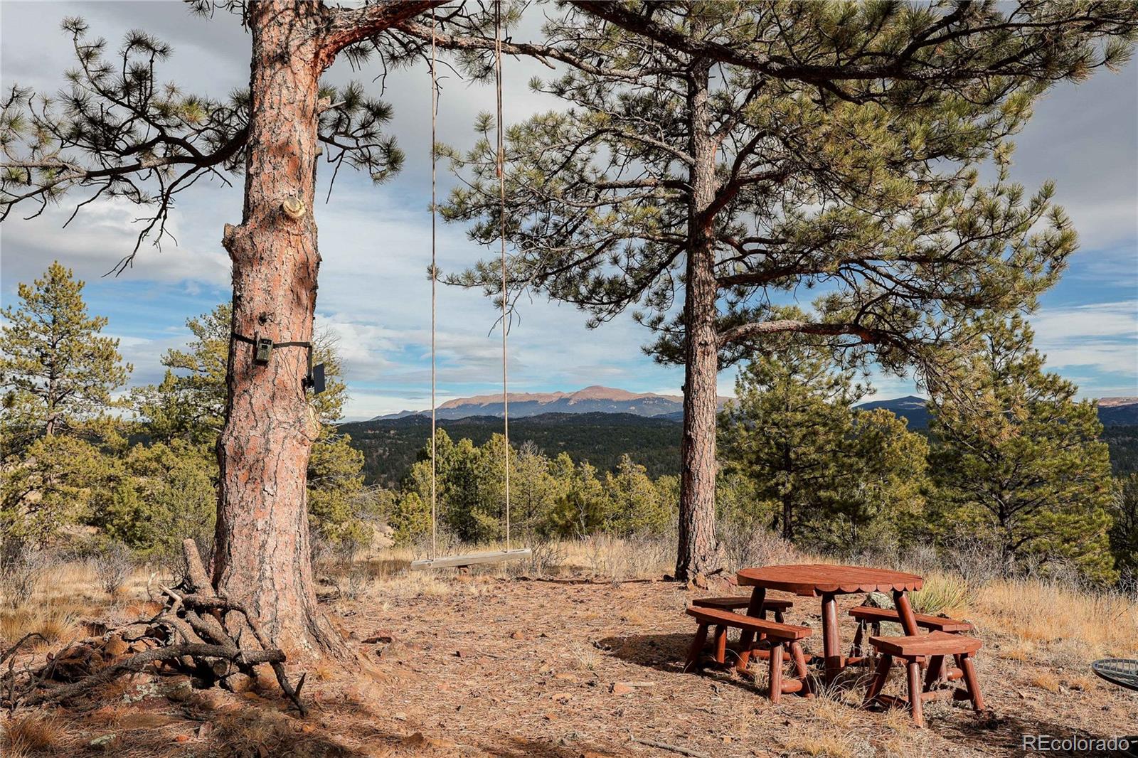 0 Twinkle Road Guffey, CO 80820 - Photo 11 of 24 a view of a patio with table and chairs with wooden fence and large trees