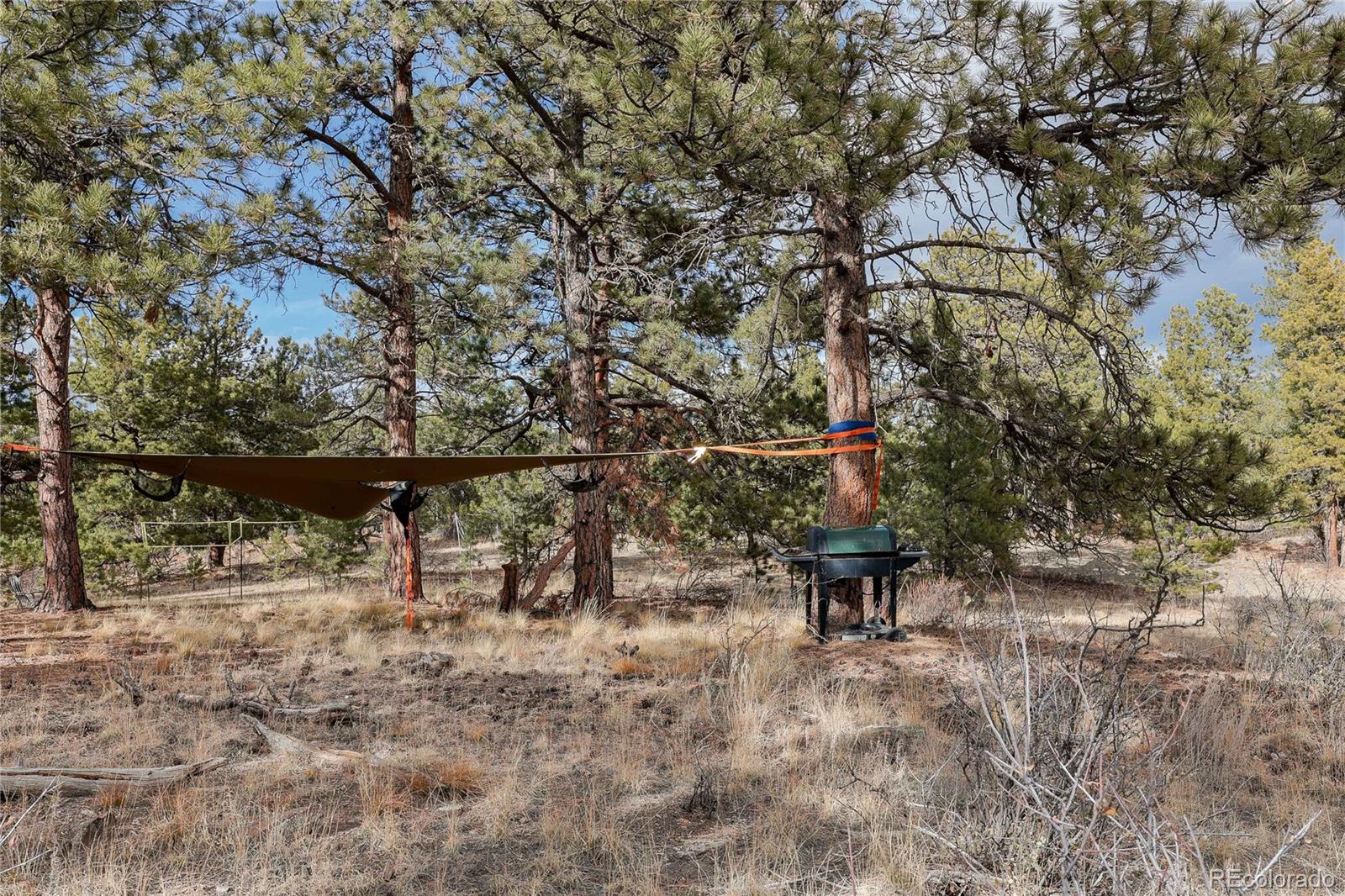 0 Twinkle Road Guffey, CO 80820 - Photo 12 of 24 a view of a park with iron fence
