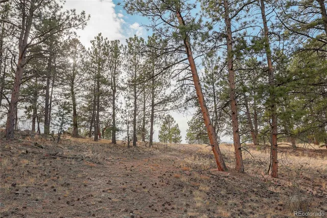a view of a lake from a yard
