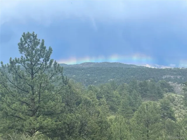 a view of a bunch of trees in a field