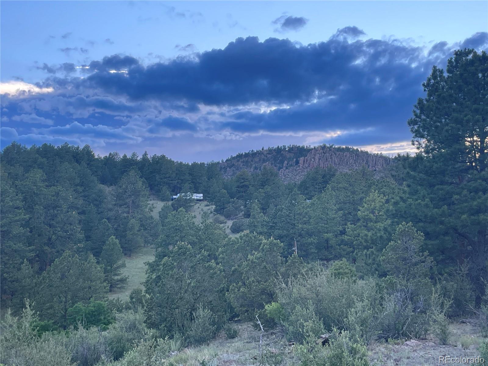 0 Twinkle Road Guffey, CO 80820 - Photo 23 of 24 a view of a bunch of trees in a field