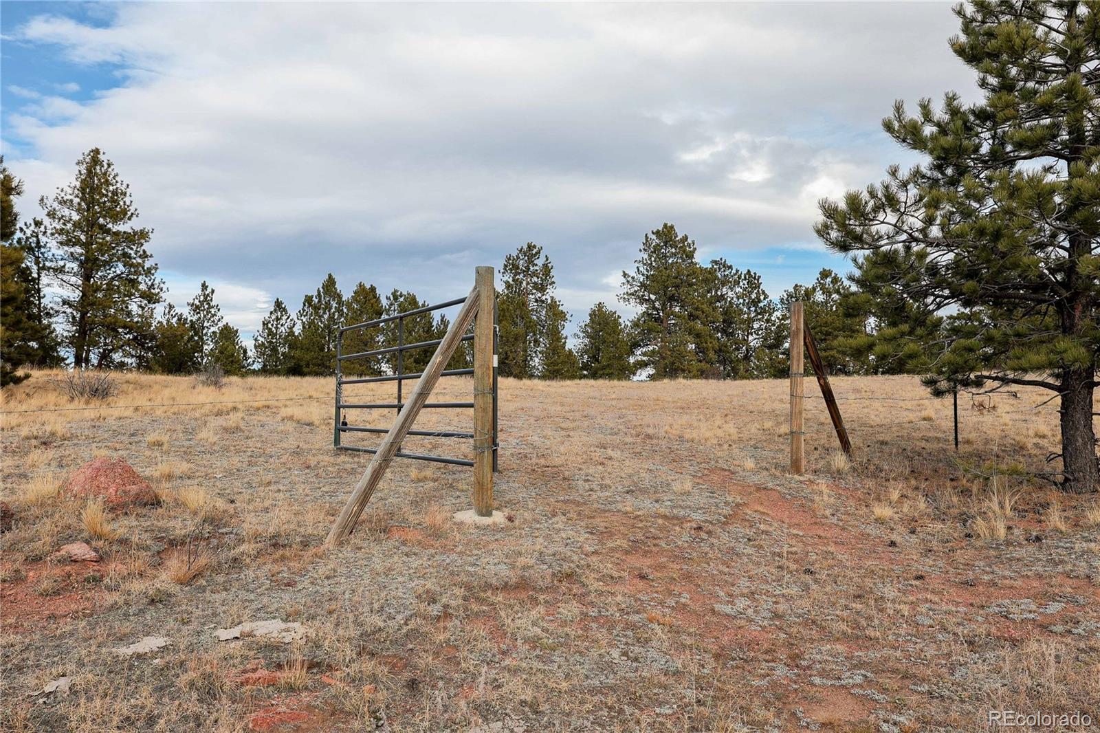 0 Twinkle Road Guffey, CO 80820 - Photo 3 of 24 a backyard of a house with lots of green space