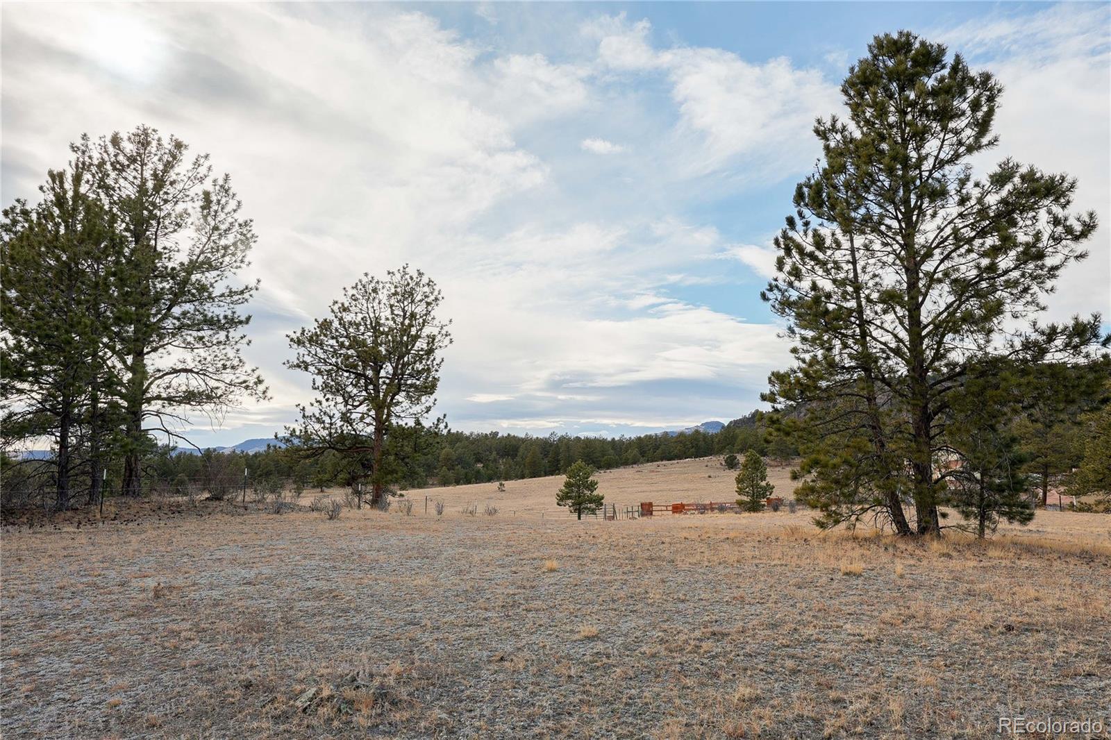 0 Twinkle Road Guffey, CO 80820 - Photo 5 of 24 a view of a dry yard with a house