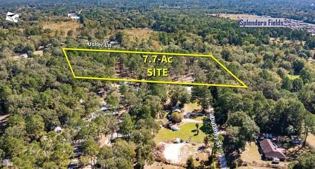 a view of a park with large trees