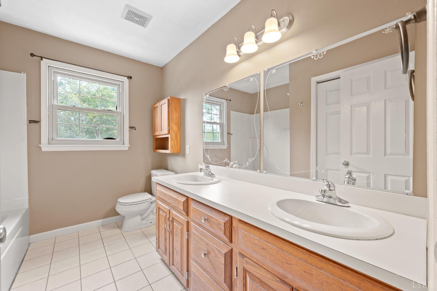 111 East Otter Ridge Drive Goode, VA 24556 - Photo 29 of 62 a bathroom with a sink a toilet and a mirror