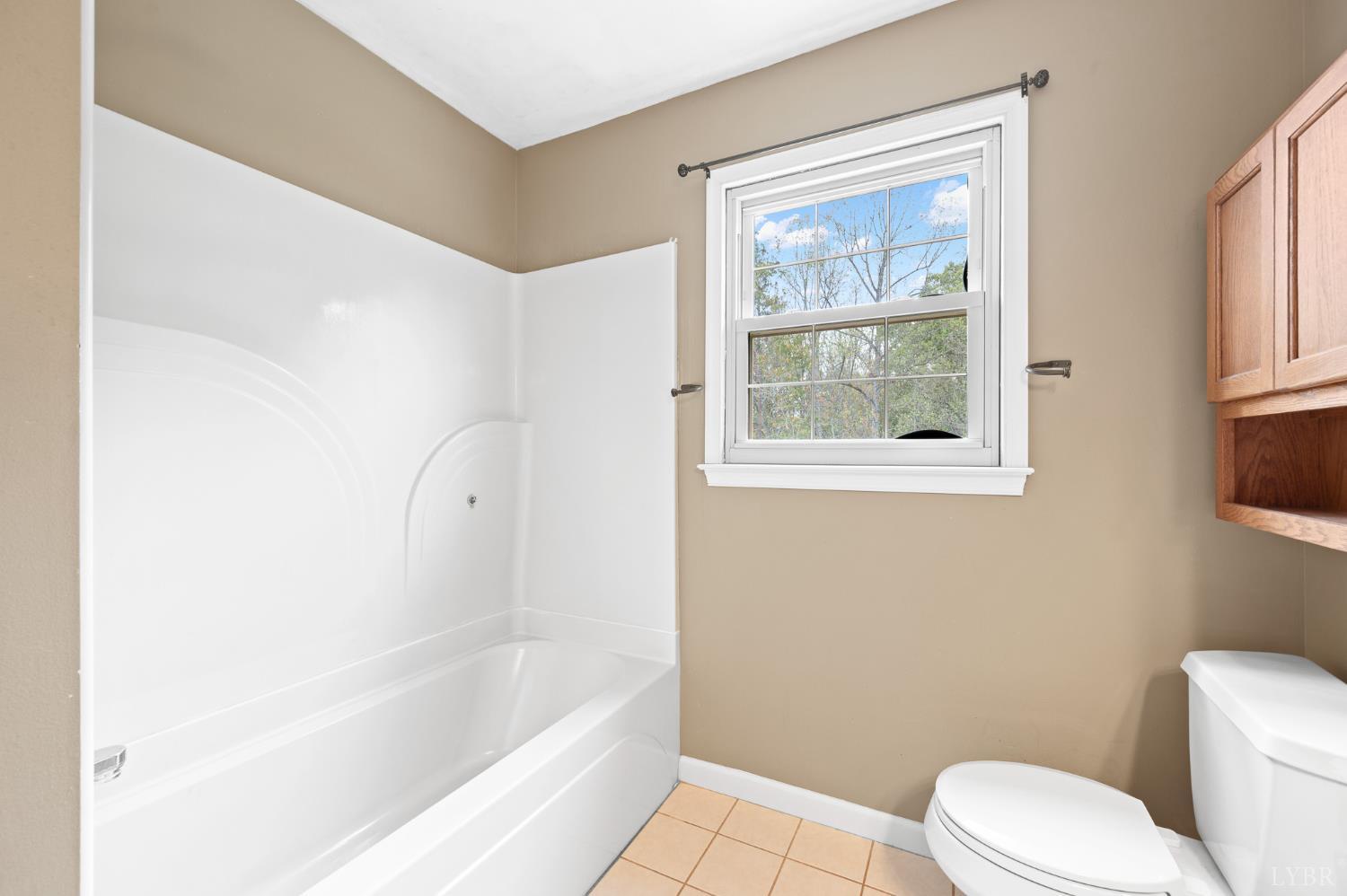 111 East Otter Ridge Drive Goode, VA 24556 - Photo 30 of 62 a white toilet sitting next to a bath tub