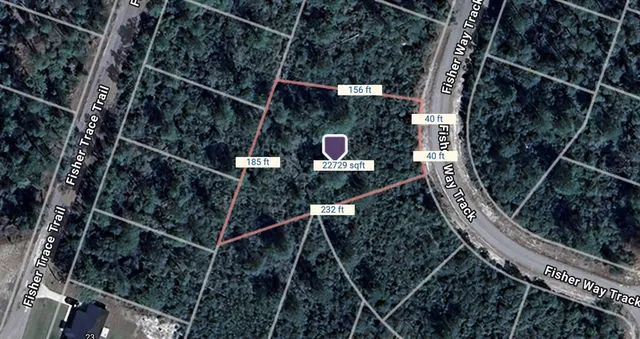$30,000 | Tbd Fisher Way Track, Ocklawaha, FL 32179