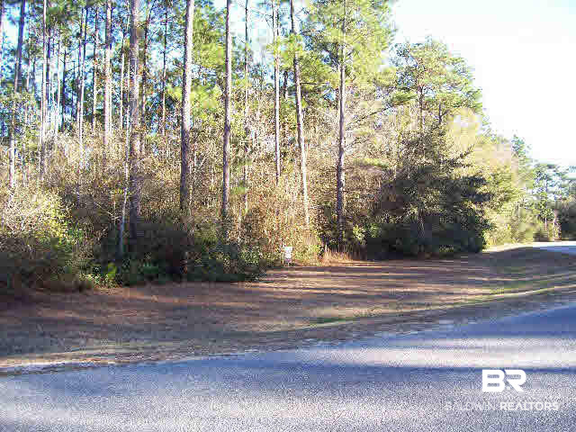 5628 Millhouse Road Gulf Shores, AL 36542 - Photo 2 of 12 This heavily wooded lot is over 3 acres. Home will be built in front high elevation--wetlands in rear of property, but does not hold water. Wetland designation is mostly "specie" oriented