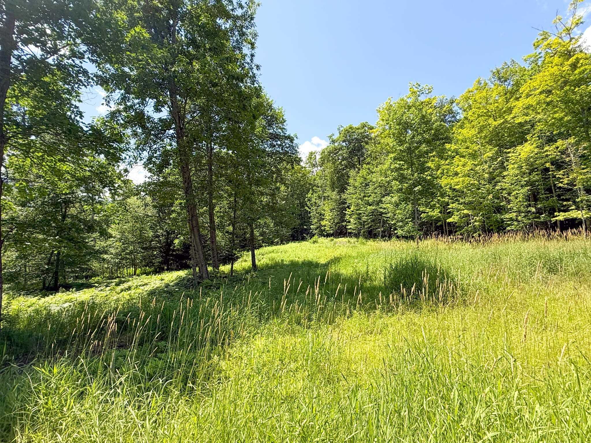68 Isaac Perkins Road Lyme, NH 03768 - Photo 57 of 60