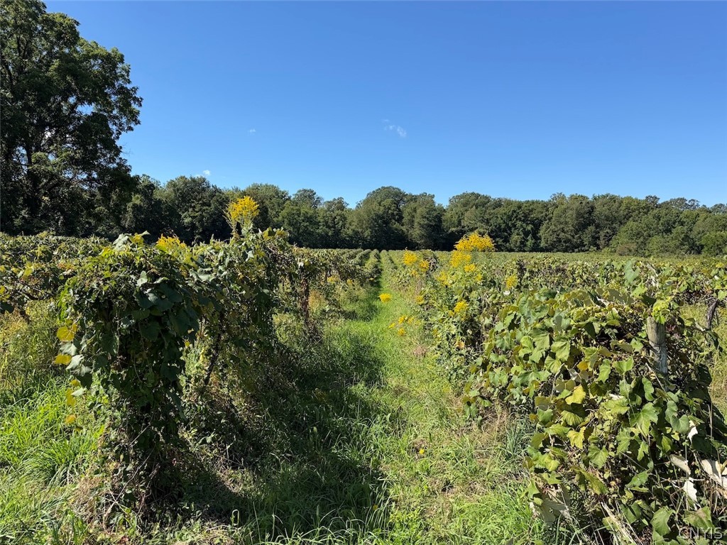 Bennett State Road Forestville, NY 14062 - Photo 15 of 18 Gallery Image 15