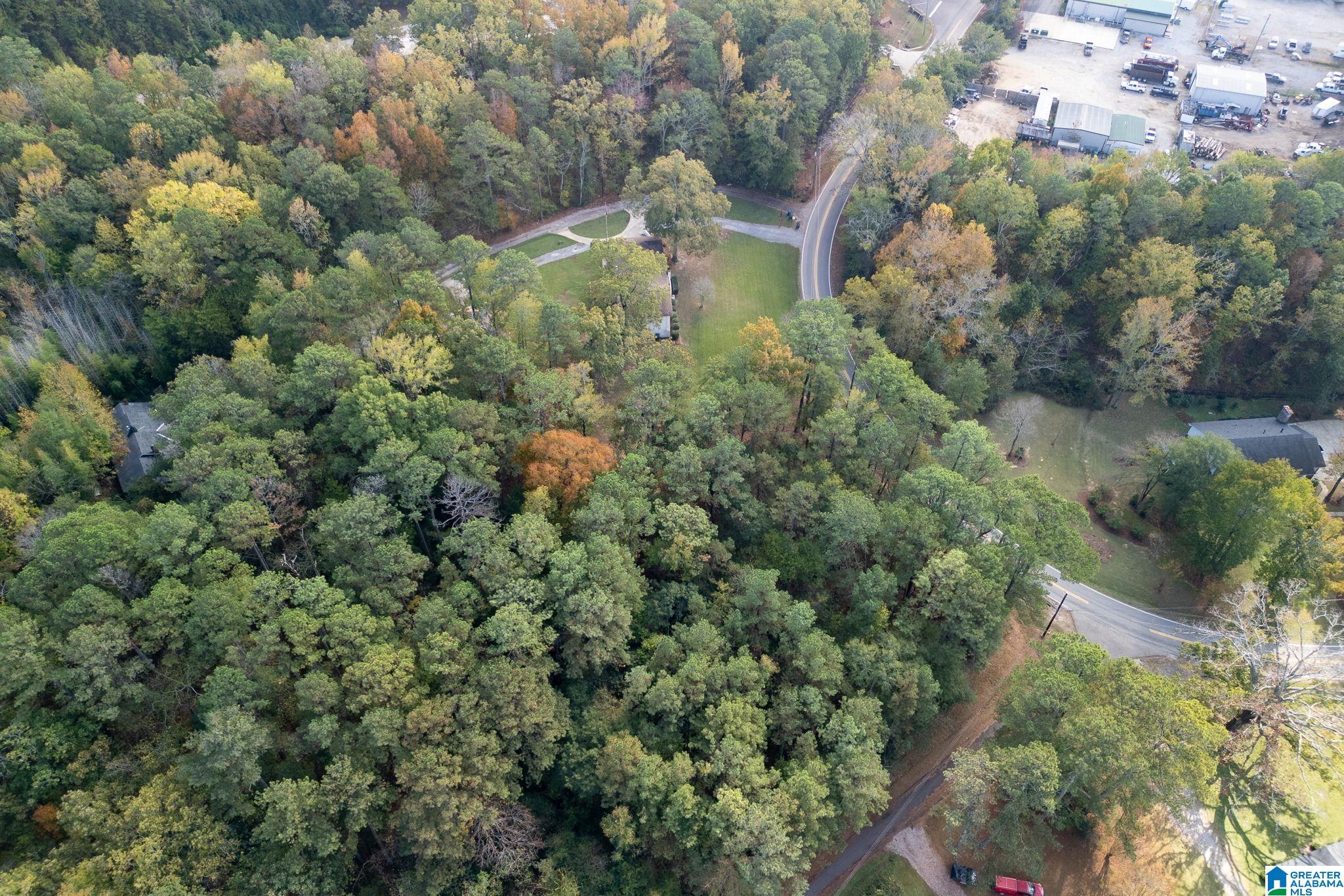 905 Old Grants Mill Road Birmingham, AL 35210 - Photo 45 of 57