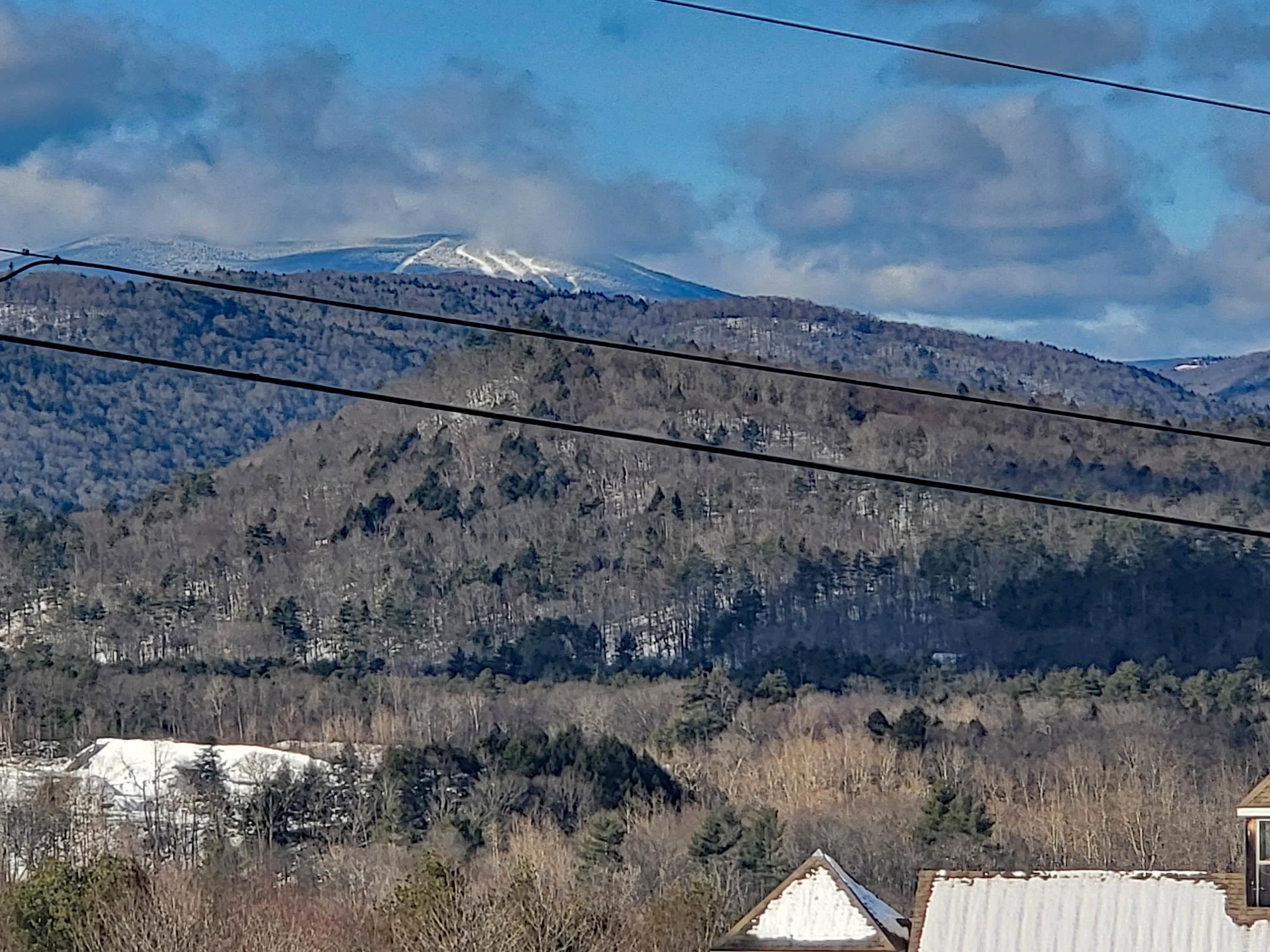 4 Robin Hill Road Townshend, VT 05353 - Photo 24 of 30