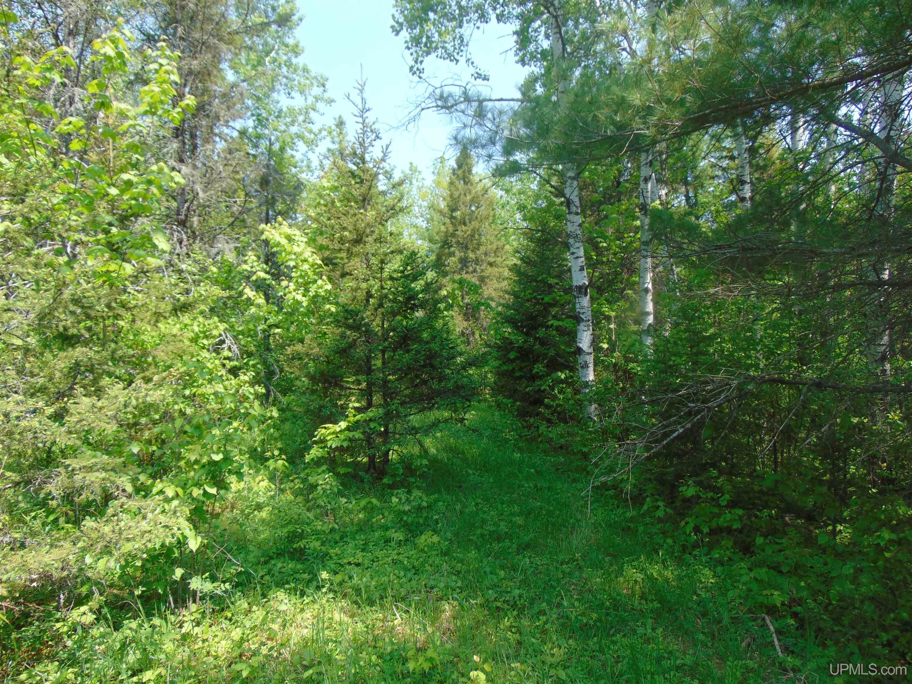 1 Larson Road Bruce Crossing, MI 49912 - Photo 18 of 34