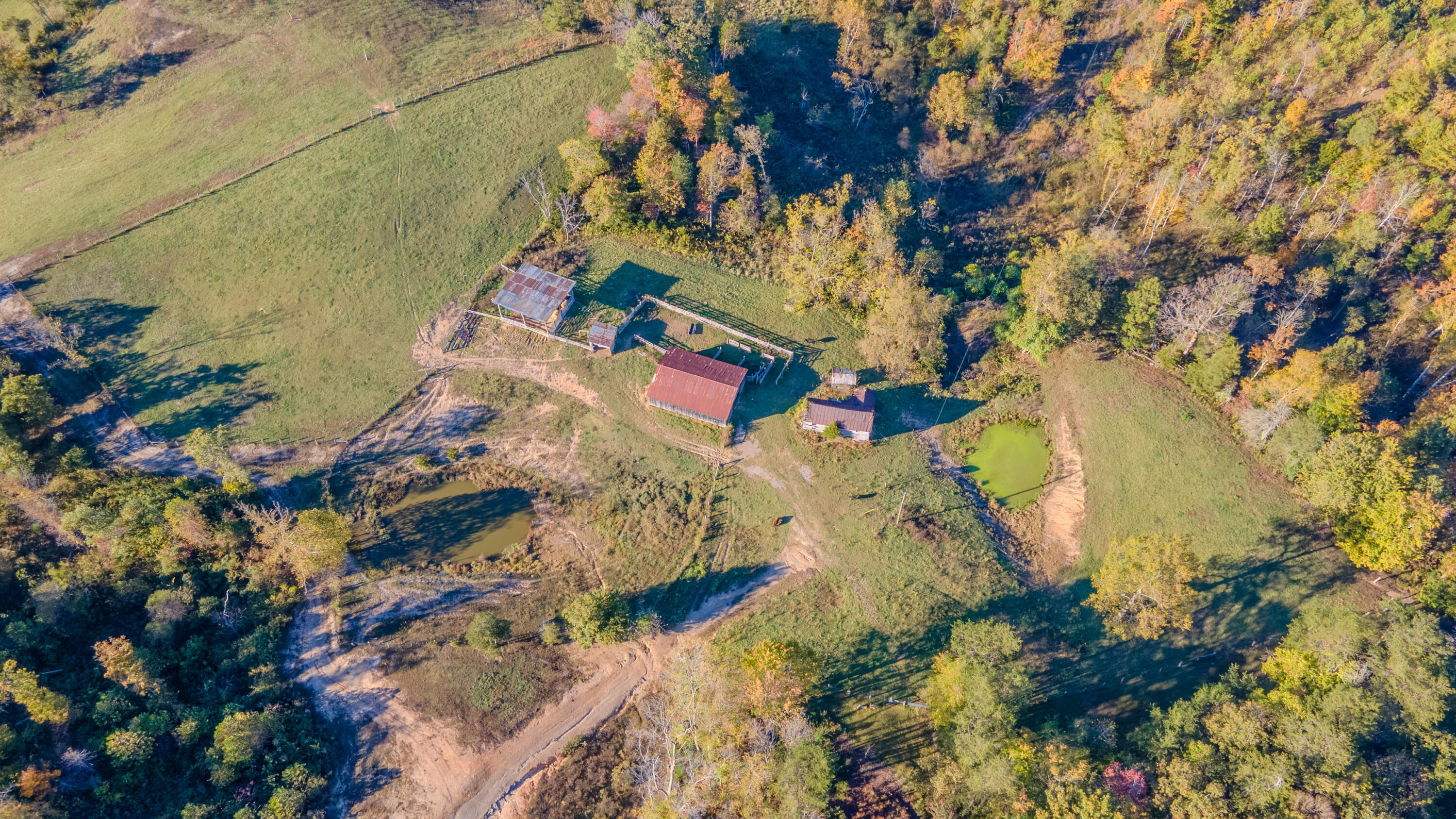 2820.5 New Fox Road Irvine, KY 40336 - Photo 14 of 55 2820NewFoxRoad-16