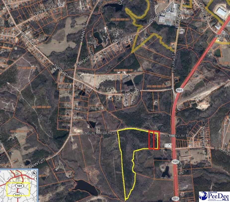1 Lenson Mangum Road Pageland, SC 29728 - Photo 1 of 1 Gallery Image 1