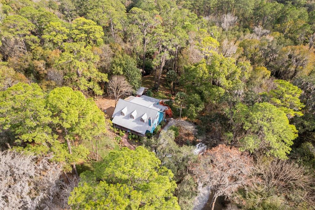 22675 Northwest 75th Avenue Road Micanopy, FL 32667 - Photo 69 of 72