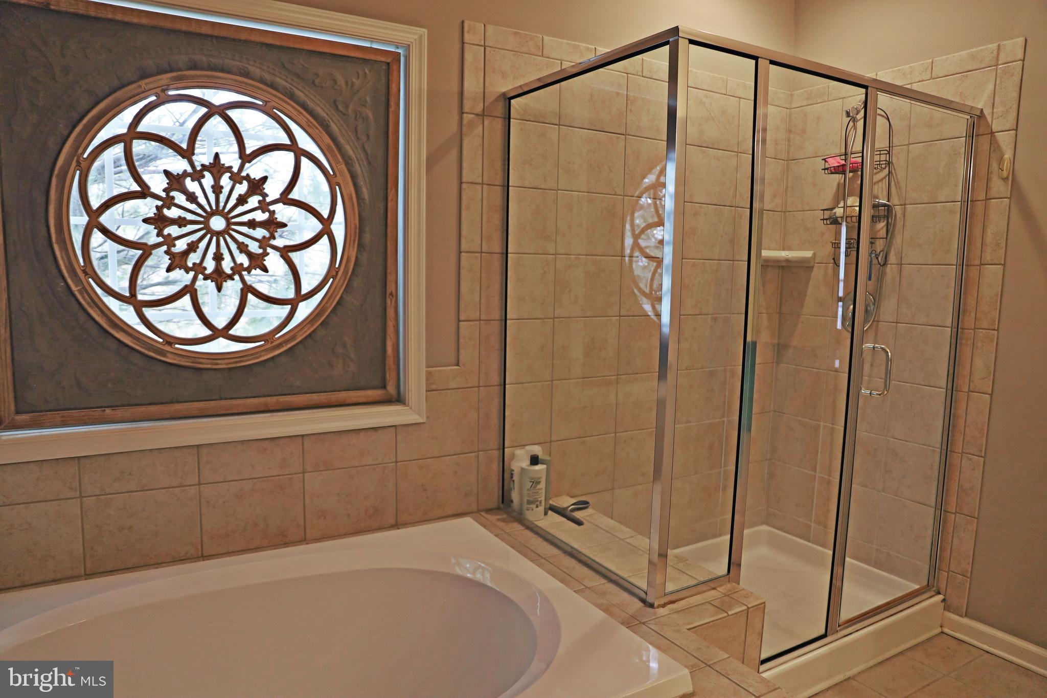 101 Trout River Terrace Falling Waters, WV 25419 - Photo 20 of 57 a bathroom with a shower and a sink