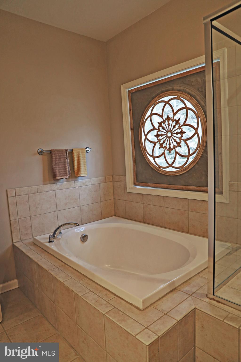 101 Trout River Terrace Falling Waters, WV 25419 - Photo 21 of 57 a bathroom with a tub and a shower