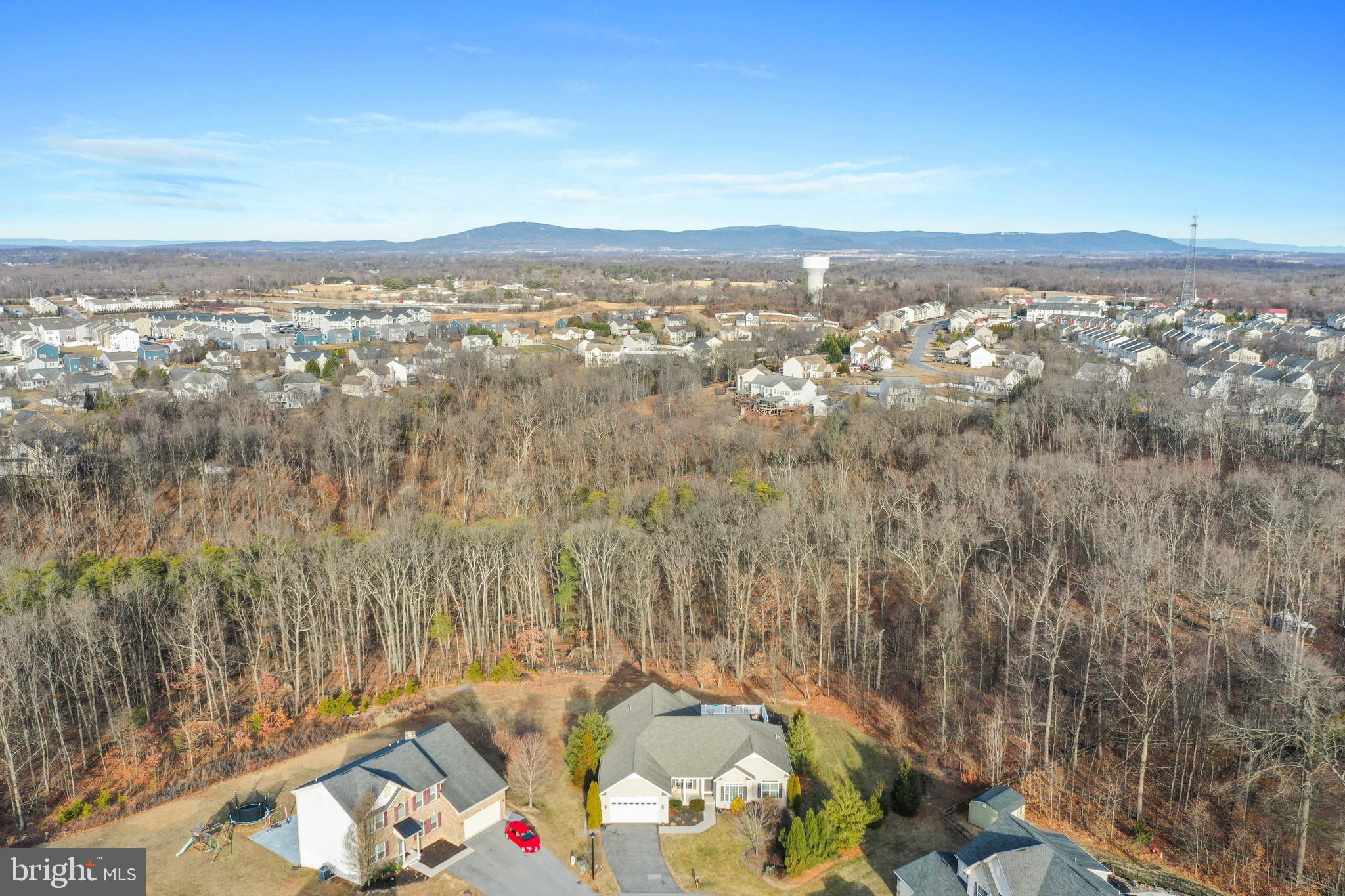 101 Trout River Terrace Falling Waters, WV 25419 - Photo 45 of 57 an aerial view of a city with lots of residential buildings