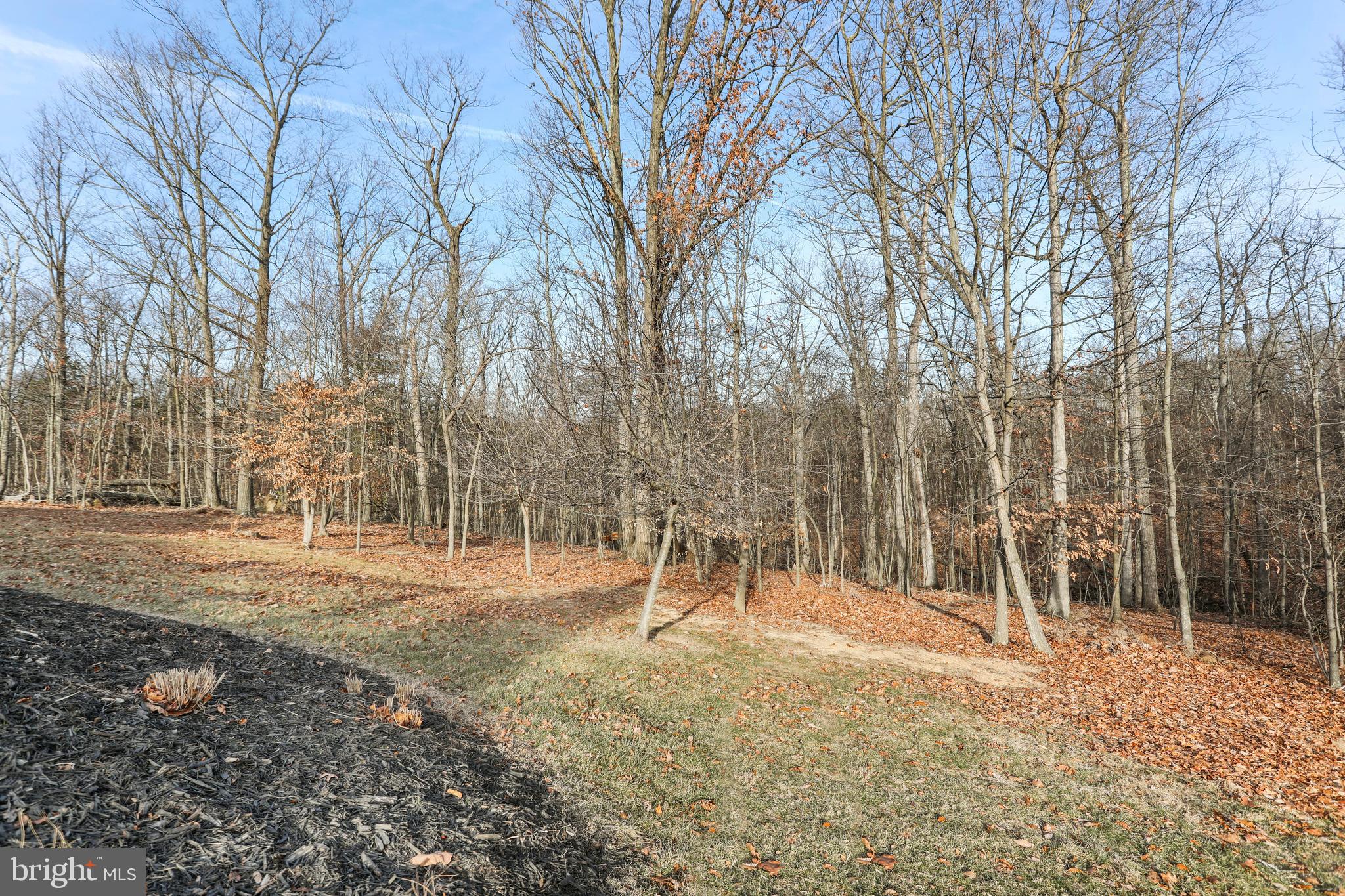 101 Trout River Terrace Falling Waters, WV 25419 - Photo 50 of 57 a backyard of a house with lots of green space