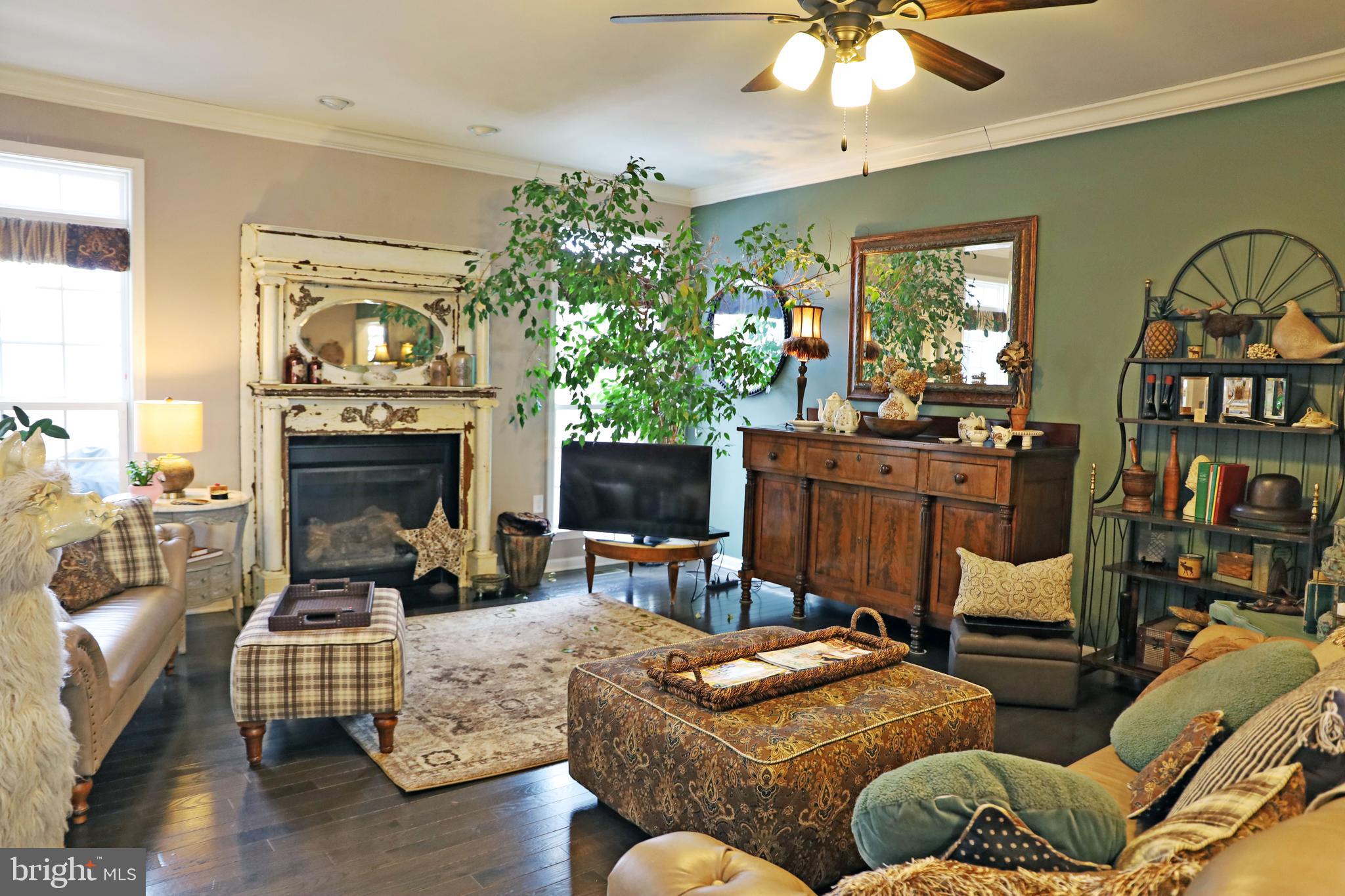 101 Trout River Terrace Falling Waters, WV 25419 - Photo 8 of 57 a living room with furniture and a fireplace