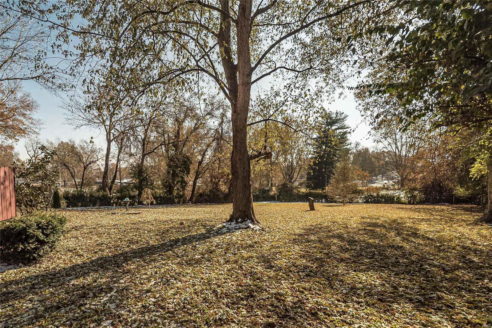 1034 St Cyr Road St. Louis, MO 63137 - Photo 49 of 52 Gallery Image 49