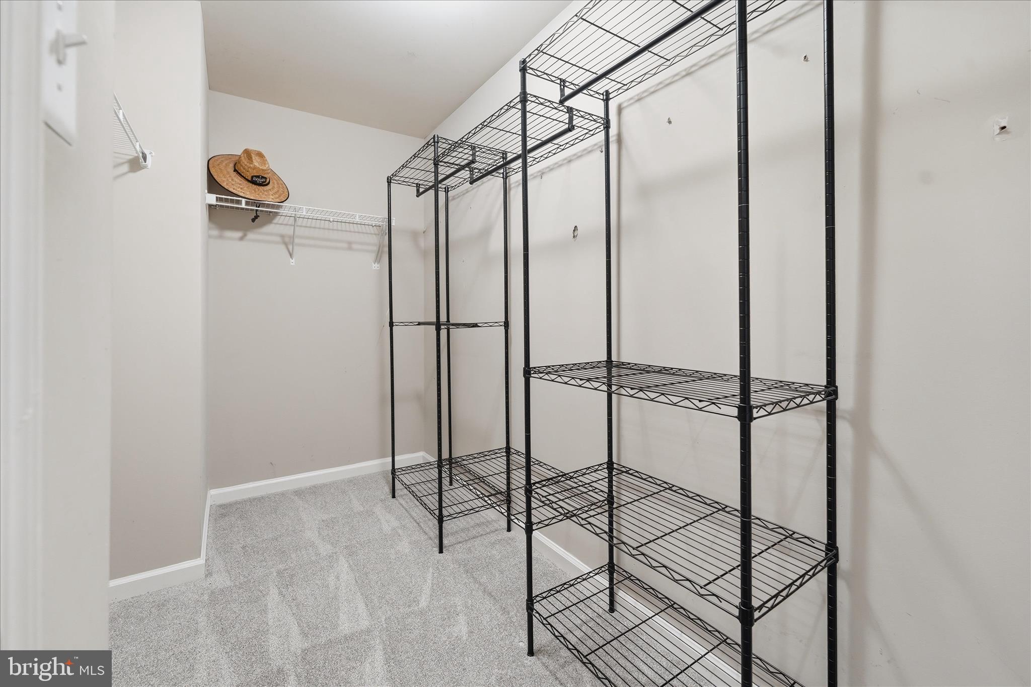 21 Whirlpool Way Falling Waters, WV 25419 - Photo 29 of 56 Primary Bathroom Closet