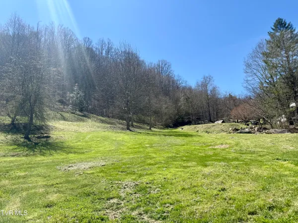 $160,000 | 111 Doty Road, Unit TR1, Roan Mountain, TN 37687