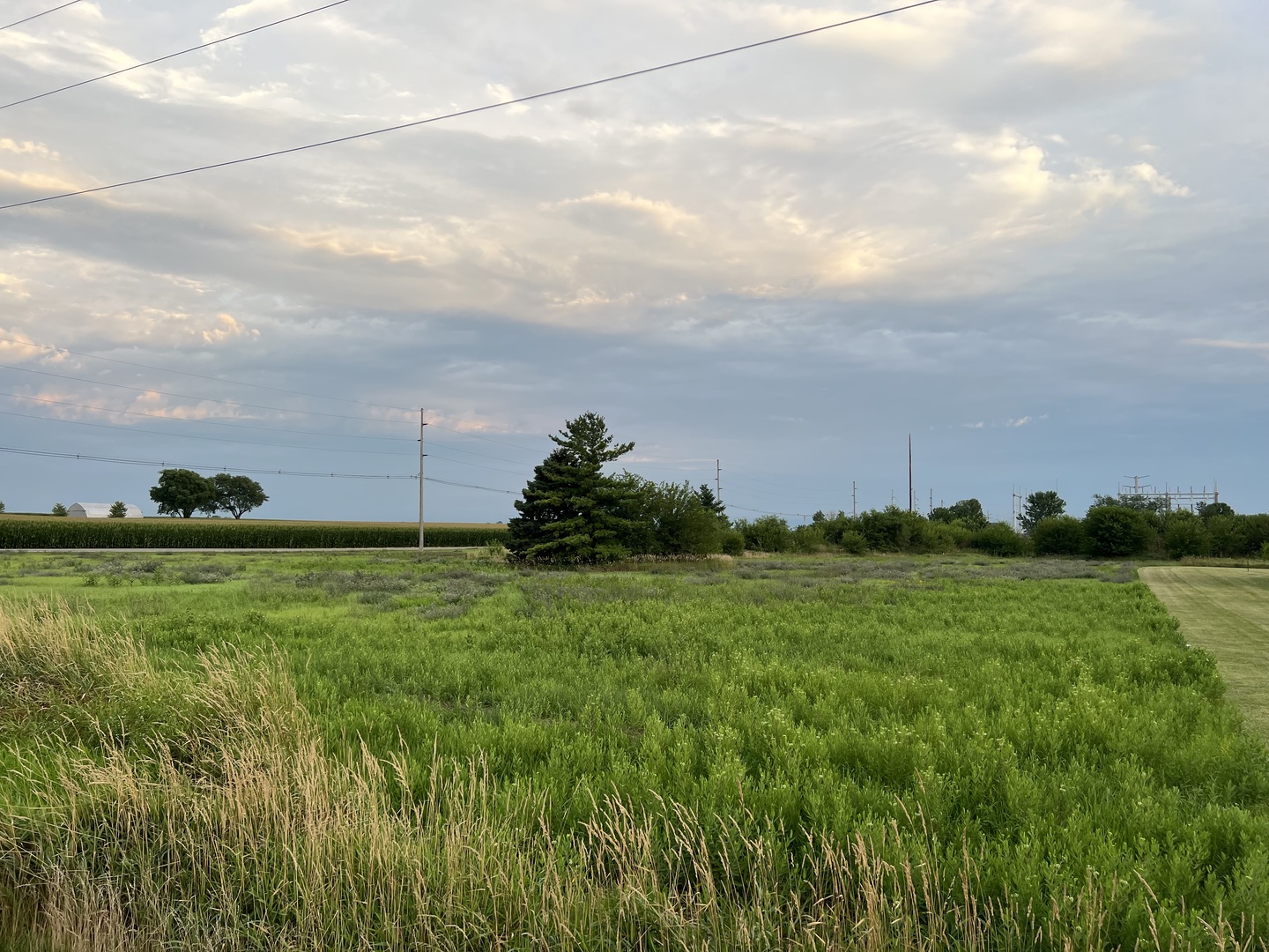 E East Main Street El Paso, IL 61738 - Photo 2 of 4 a view of a field with lawn chairs and large trees