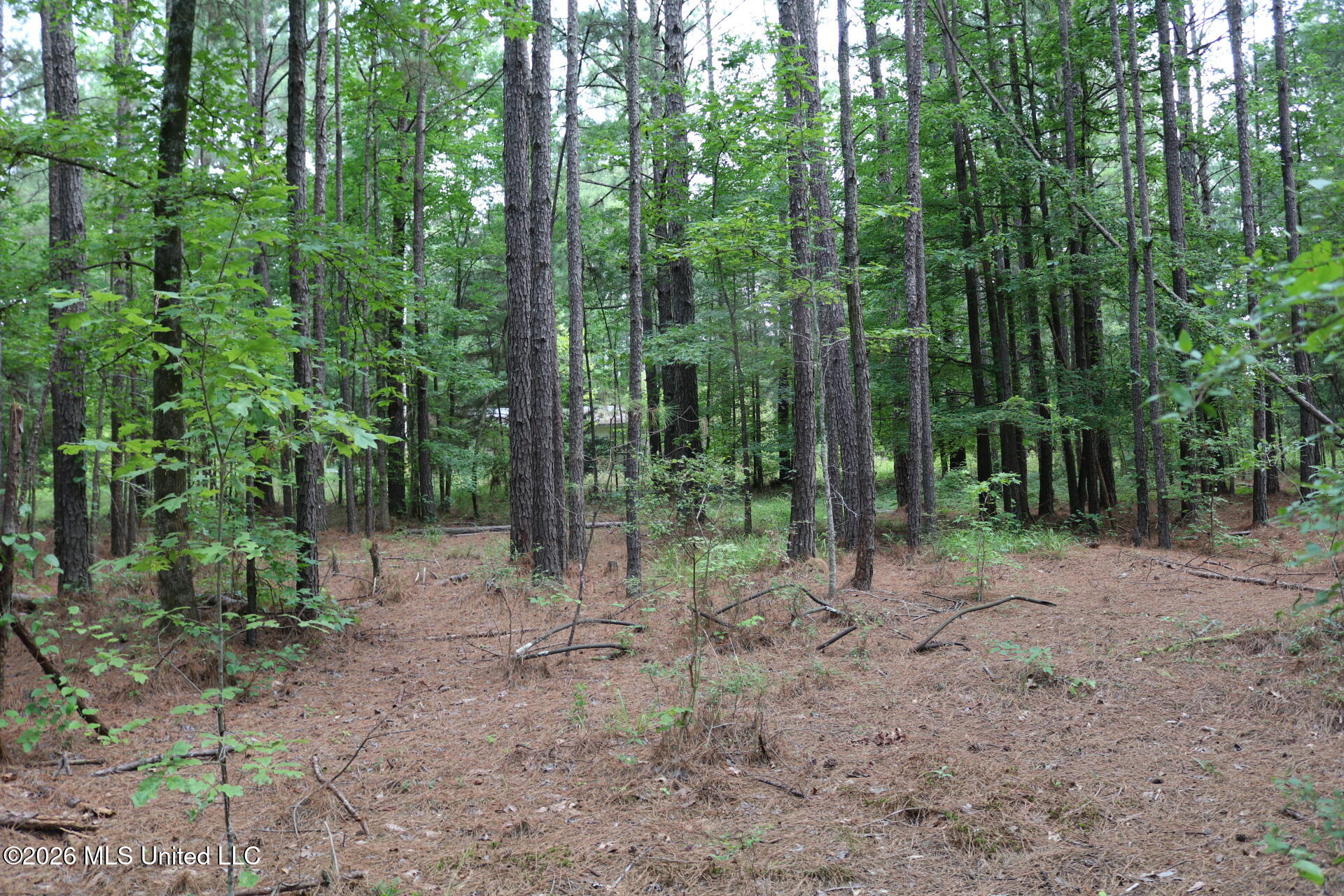 2026 Stump Bridge Road Camden, MS 39045 - Photo 10 of 18 IMG_5686