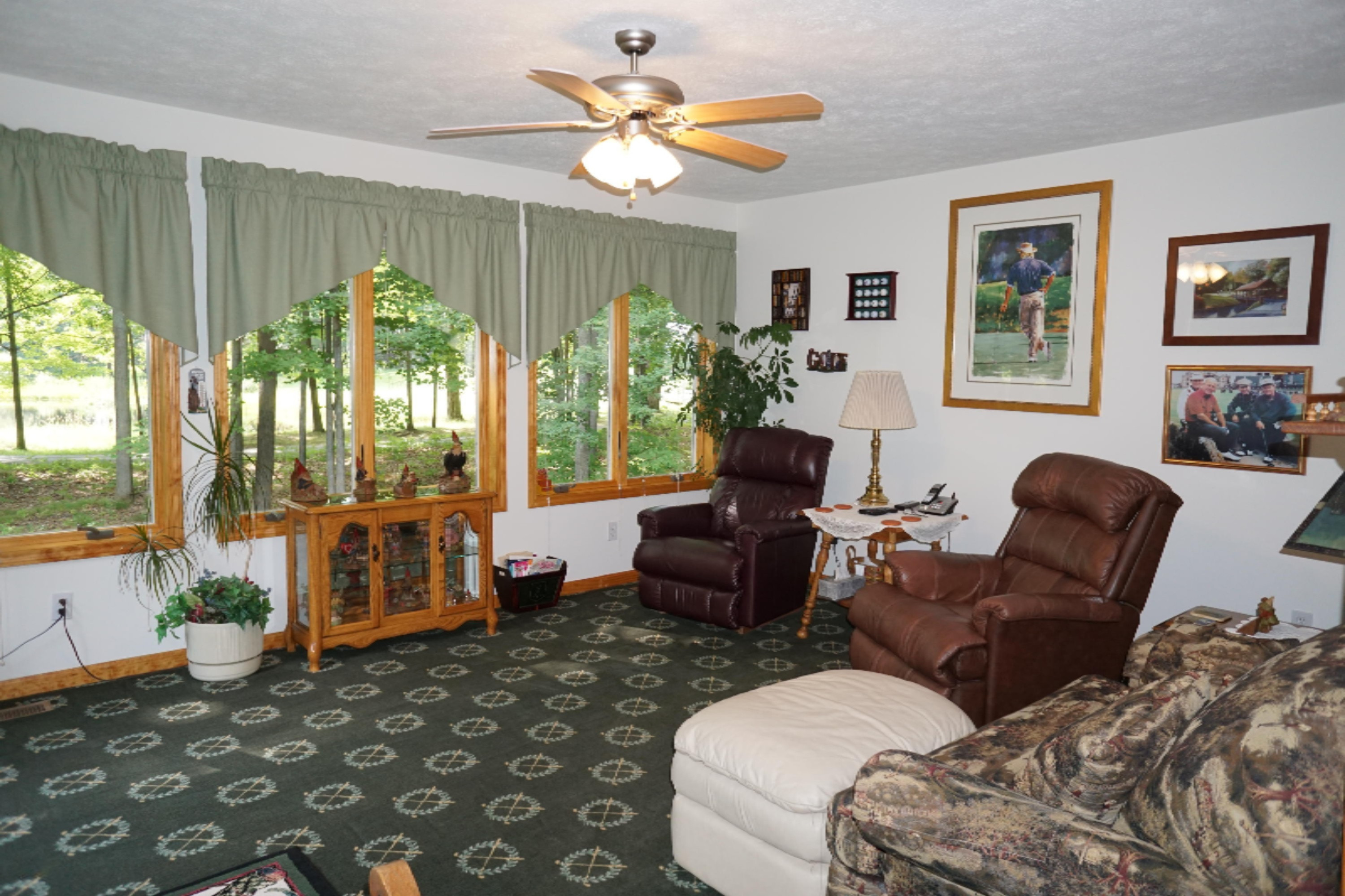 7645 River Ridge Road Canadian Lakes, MI 49346 - Photo 13 of 22 DSC00631
