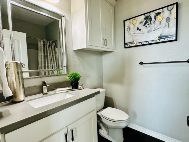 6959 Halter Loop College Station, TX 77845 - Photo 16 of 22 Full bathroom featuring baseboards, vanity, toilet, and a shower with curtain