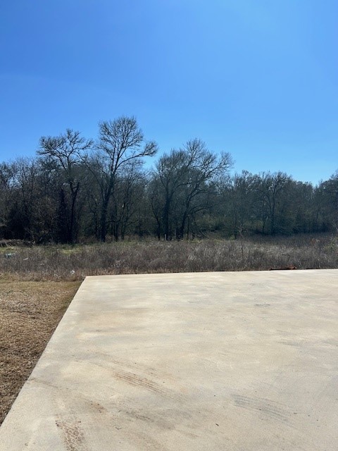 6959 Halter Loop College Station, TX 77845 - Photo 4 of 22 View of road