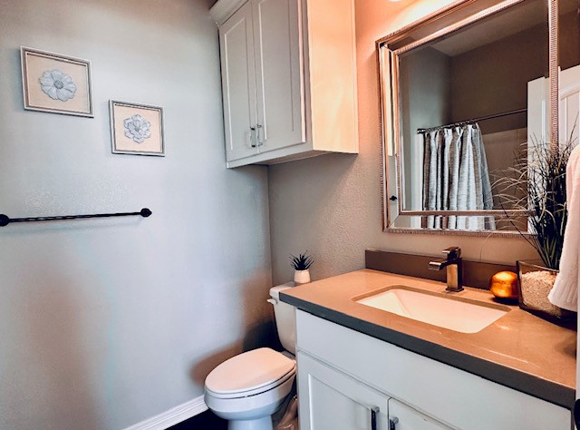 6959 Halter Loop College Station, TX 77845 - Photo 9 of 22 Full bath featuring vanity, toilet, and a shower with curtain