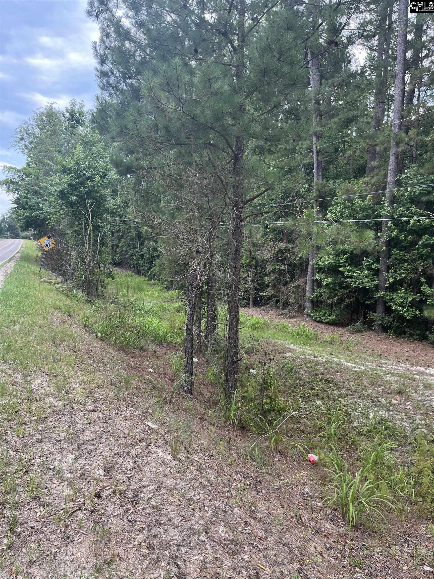 Tbd Festival Trail Road Salley, SC 29137 - Photo 4 of 12