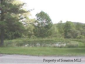 8725 Neville Road Moscow, PA 18444 - Photo 3 of 8 a view of a lake view