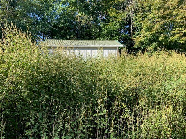 8802 Winchester Road Irvine, KY 40336 - Photo 5 of 5 20210904152509297612000000-o