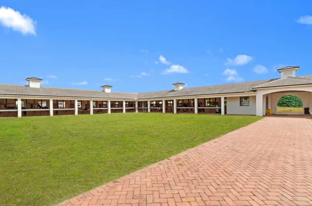 a view of a house with a yard and a large tree