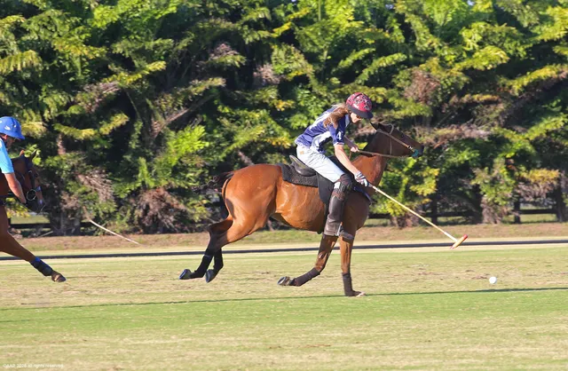 $41,000,000 | 12940 50th Street South, Wellington, FL 33449