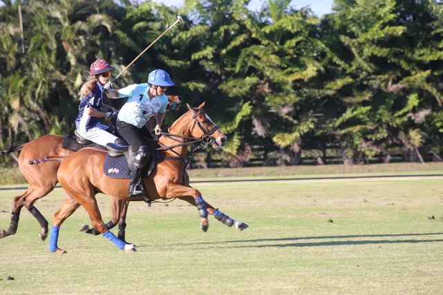 $41,000,000 | 12940 50th Street South, Wellington, FL 33449