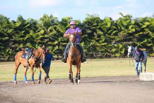 $41,000,000 | 12940 50th Street South, Wellington, FL 33449