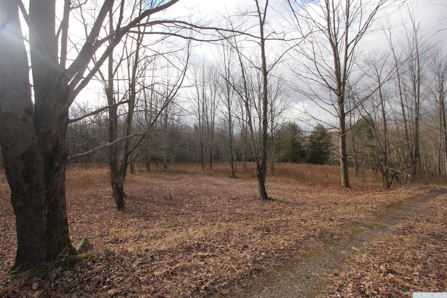 0 Prosperous Valley Road Middletown, NY 10940 - Photo 11 of 36 Photo 11