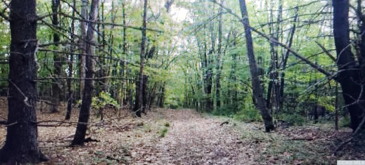 0 Prosperous Valley Road Middletown, NY 10940 - Photo 12 of 36 Photo 12