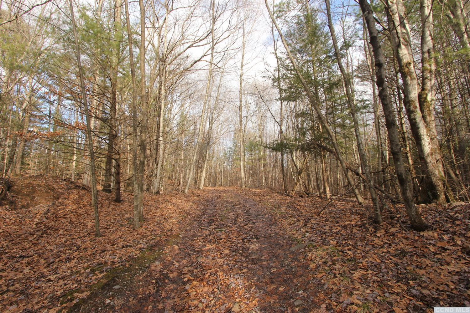 0 Prosperous Valley Road Middletown, NY 10940 - Photo 13 of 36 Photo 13
